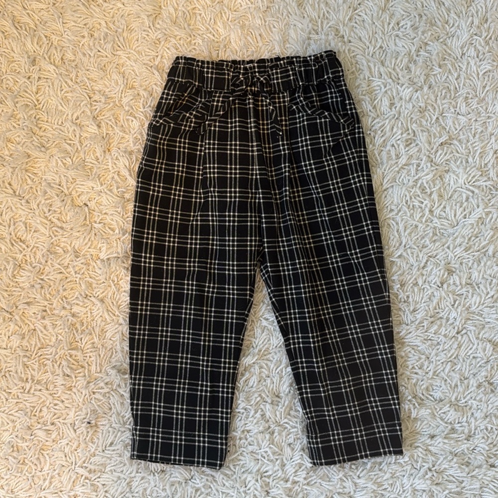 Zara Pants